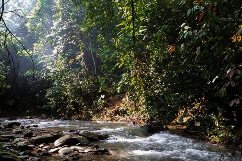 medan-in-the-jungle-of-mount-leuser-national-park-day-trip