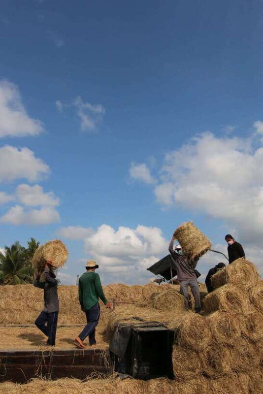 mekong-delta-discovery-2-day-tour-of-ben-tre-can-tho