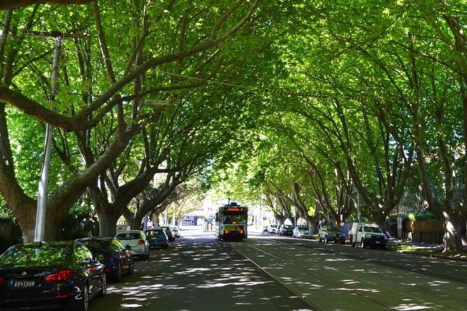 Melbourne Drive by Day Tour - Final Thoughts
