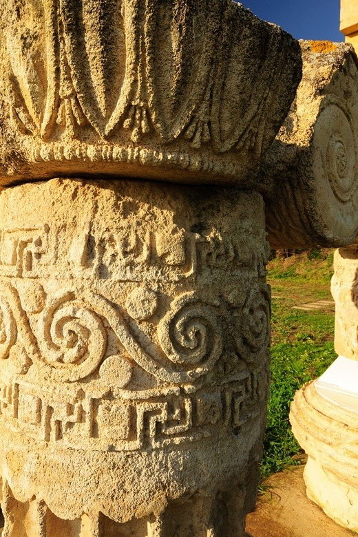 Metaponto: 3-Hour Private Guided Tour of Archeological Site - Tour Inclusions