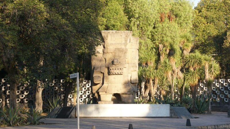 mexico-city-19-city-highlights-bicycle-tour