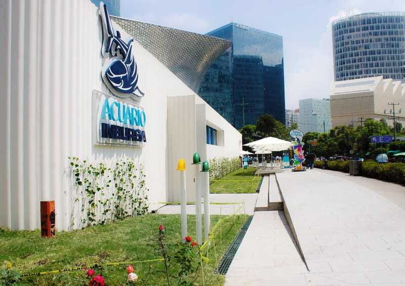 mexico-city-inbursa-aquarium-tour-with-transportation