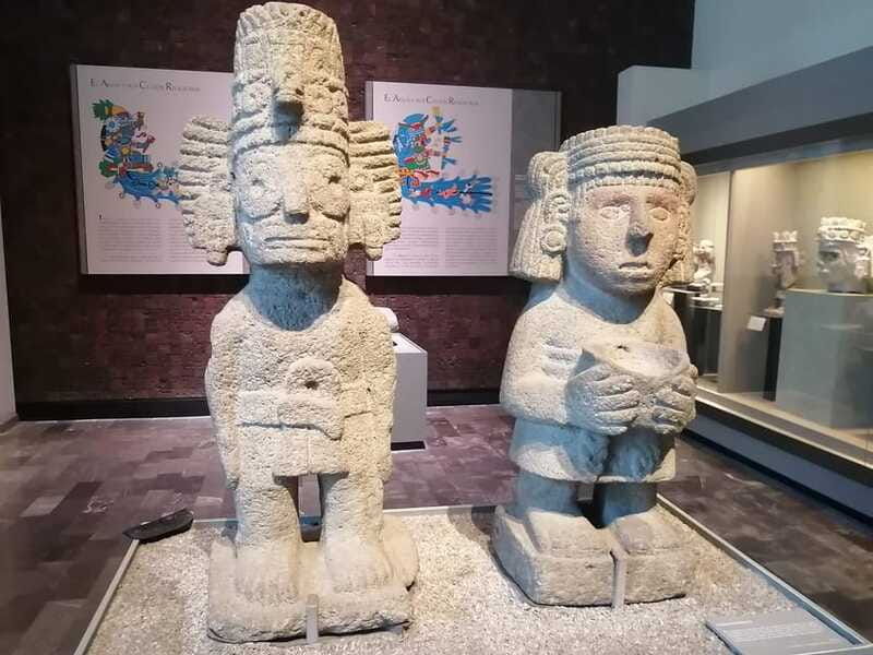 mexico-city-museum-of-anthropology-forest-and-pre-hispanic-food