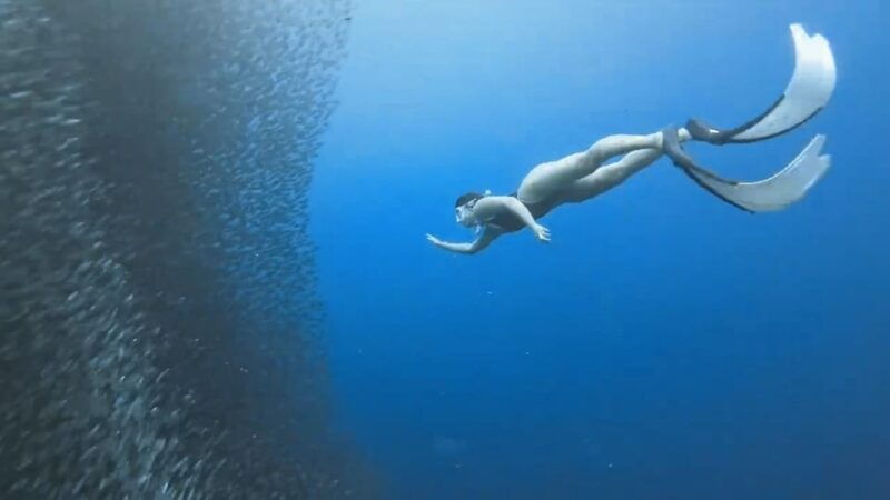 moalboal-pescador-island-mantayupan-falls-adventure