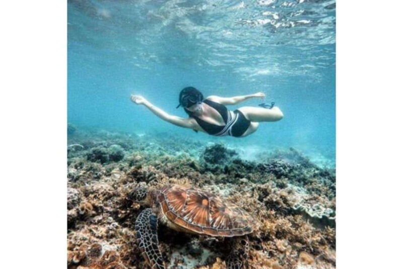moalboal-scuba-diving-sardine-run-and-turtle-chasing
