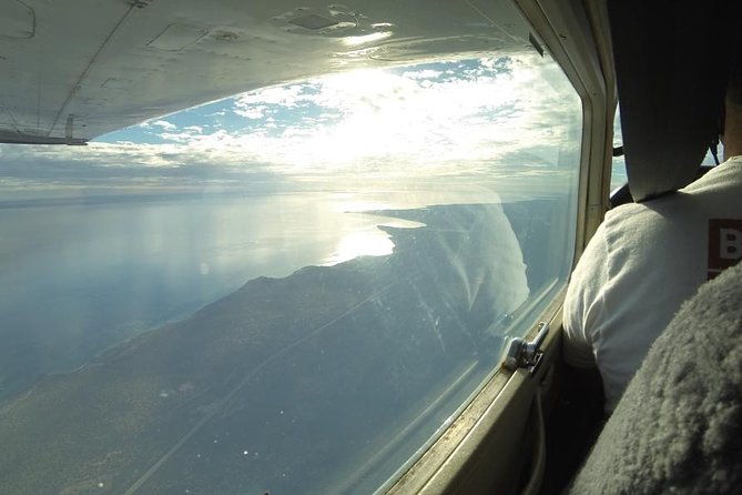 Monkey Mia Dolphins & Shark Bay Air Tour From Perth - Who Will Love This Tour?