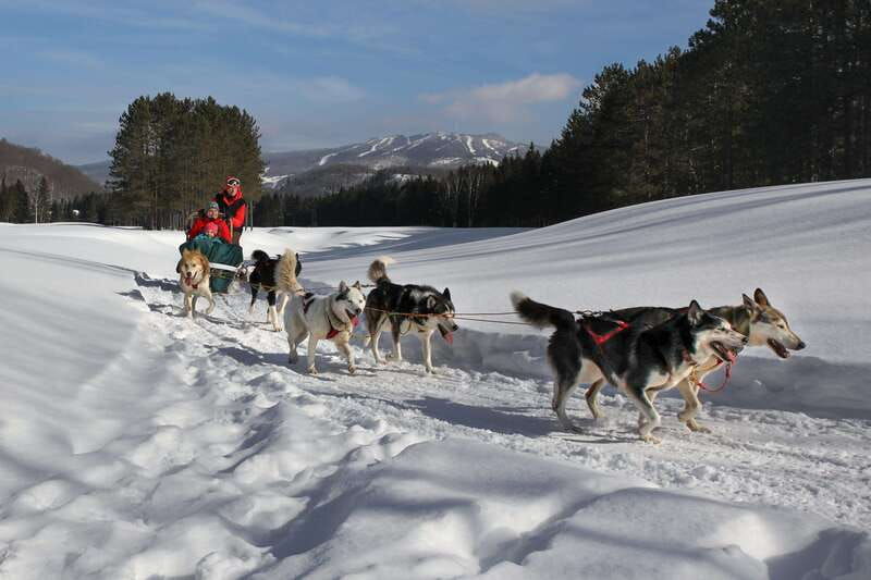 mont-tremblant-guided-dogsledding-tour-with-hot-chocolate