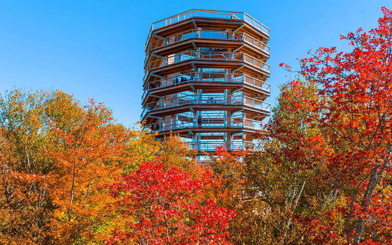 mont-tremblant-laurentians-treetop-observatory-and-walk