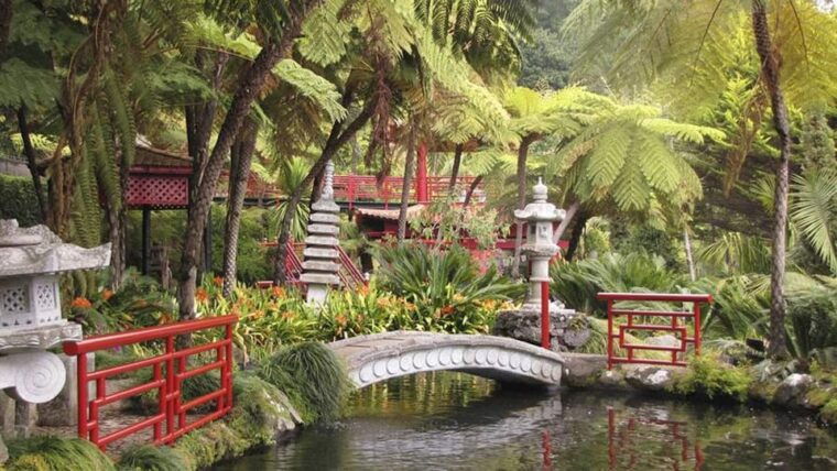 monte-tropical-gardens-old-town-tuk-tuk-tour