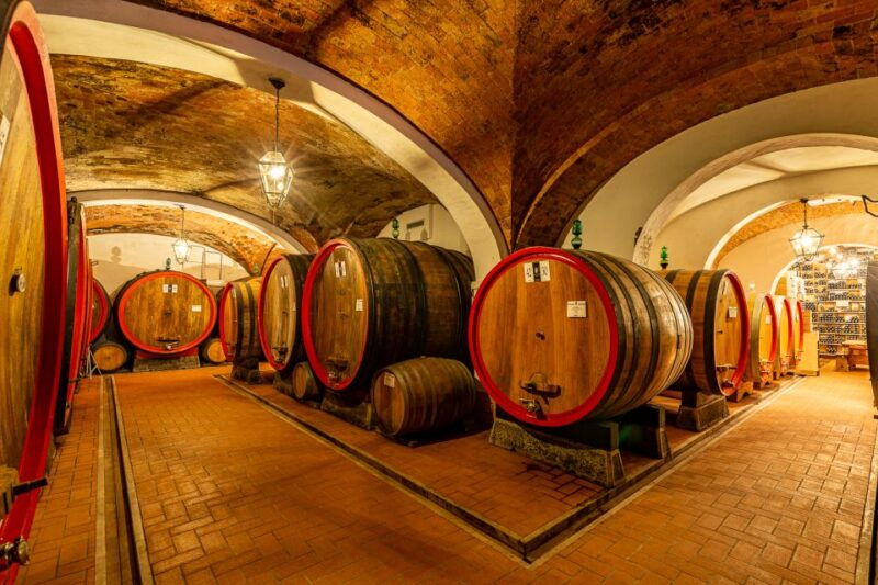 montepulciano-guided-winery-tour-with-tasting-appetizers
