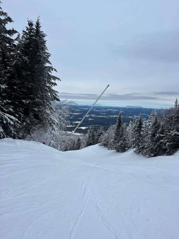 montreal-canadian-forest-guided-tour-by-snowmobile