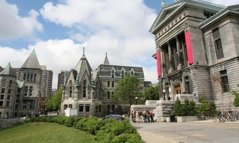 montreal-street-art-walking-tour-with-a-guide