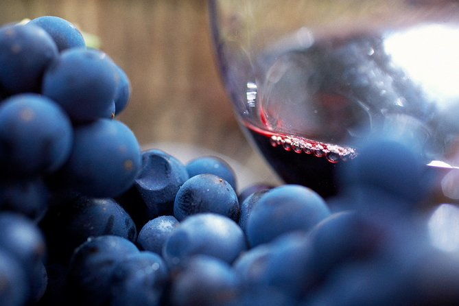 Mornington Peninsula Premium 2-6 guests Lunch at Merricks General Wine Store - Value and Price Analysis