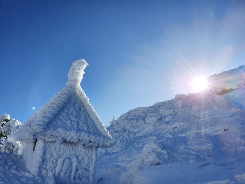 mount-arber-snowshoeing-in-the-bavarian-forest-guided-tour