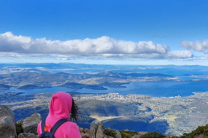 Mt Wellington Afternoon Small Group Driving Tour - Final Thoughts