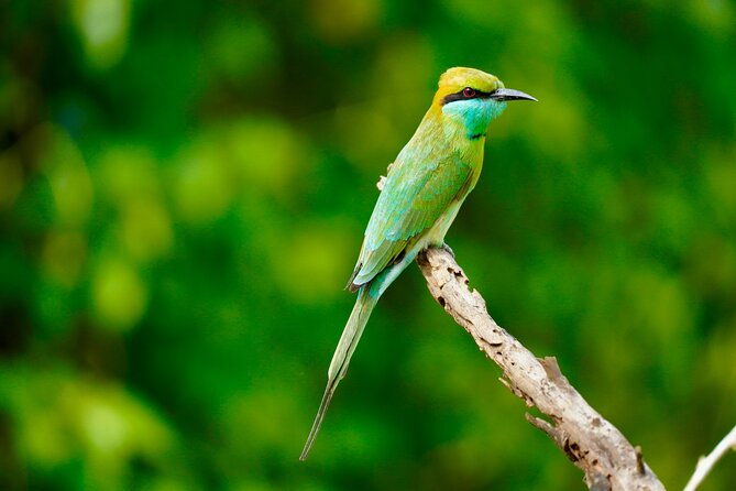 Multiday Safari and Hiking Adventure in Sri Lanka - Practical Details & Value