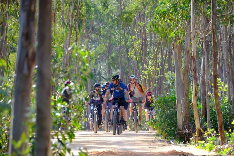 musette-lagos-bike-tour