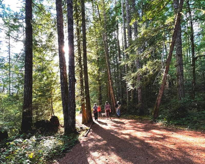 nanaimo-vancouver-island-waterfalls-vistas-hikes-caves