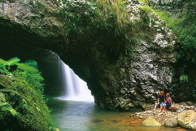 Natural Bridge Glow Worm Night Tour from Gold Coast - FAQs