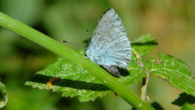 nature-highlights-private-walking-tour-with-transport