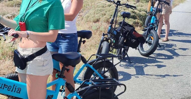 naxos-private-e-bike-tour-with-farm-lunch-aegean-lush