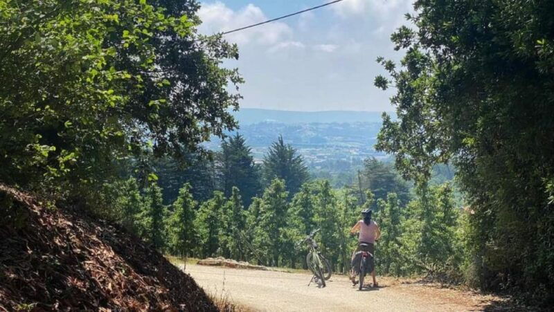 nazare-e-bike-tour-off-road-coast-tour