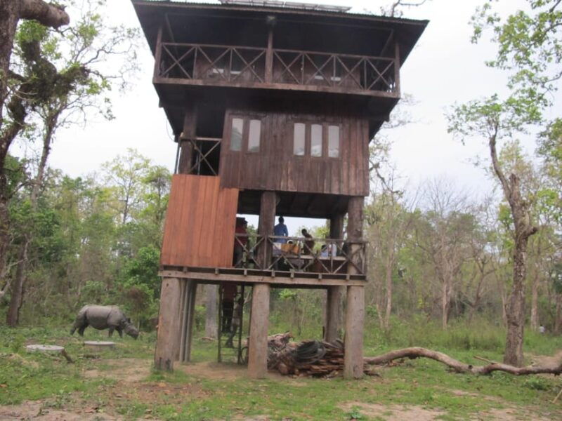 nepal-chitwan-national-park-3-day-jungle-tower-stay