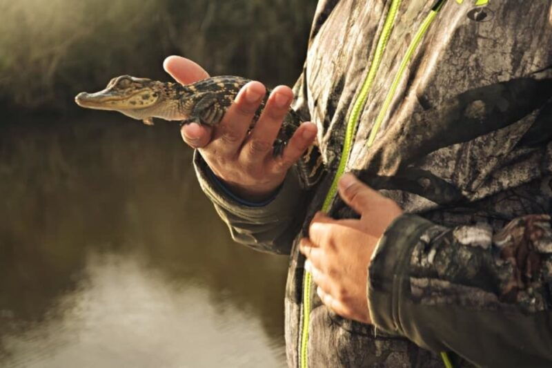 new-orleans-high-speed-16-passenger-airboat-ride