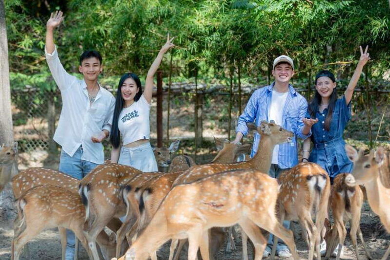 nha-trang-city-sightseeing-tour-nha-phu-bay-monkey-island