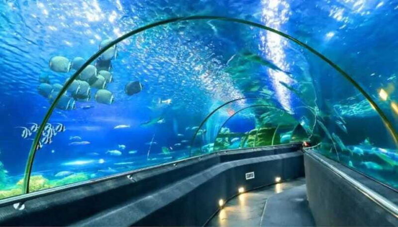 nha-trang-half-day-city-tour-with-lunch