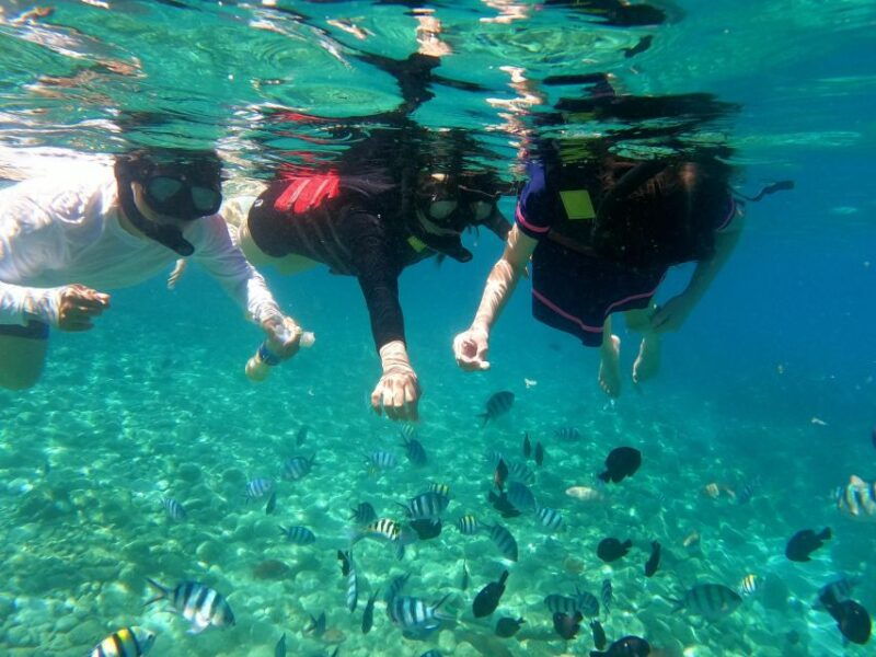 nha-trang-half-day-snorkeling-trip