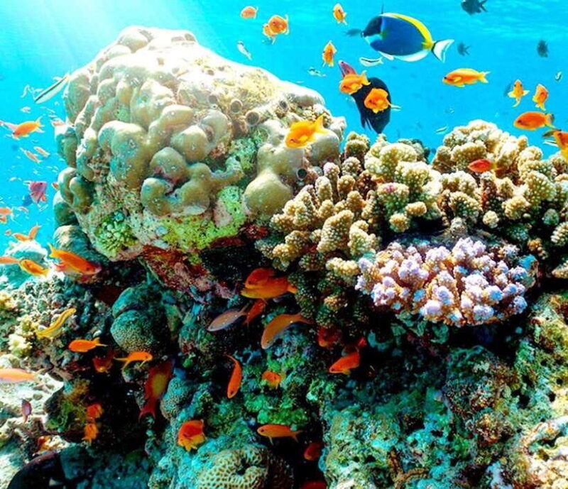 nha-trang-scuba-diving-and-eco-tourism-island-day-trip