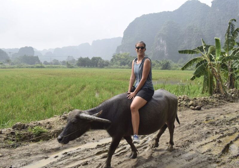 ninh-binh-buffalo-riding-rice-planting-group-tour