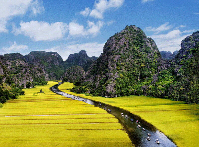 ninh-binh-countryside-tour-by-motorcycle-buffalow-riding