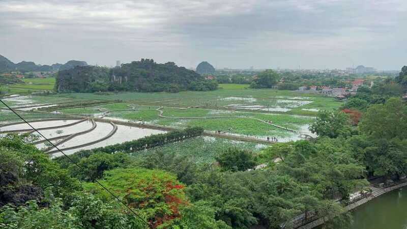 ninh-binh-hoa-lu-tam-coc-mua-cave-group-tour-from-hanoi