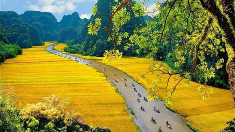 ninh-binh-hoa-lu-trang-an-mua-cave-small-group-daily-tour