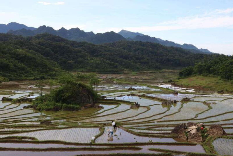 ninh-binh-luxury-tour-hoa-lu-mua-hike-tam-coc-boat