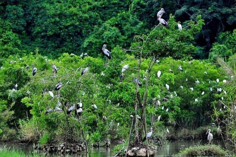 ninh-binh-motorbike-tour