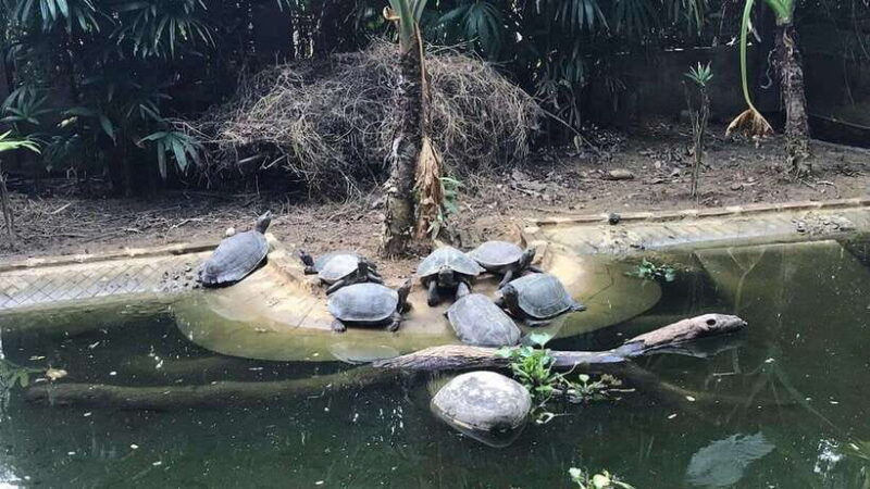 ninh-binh-tour-to-cuc-phuong-van-long-reserve-jeep-tours