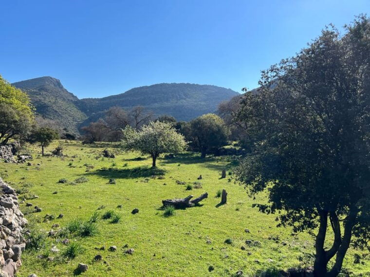 nisyros-full-tour-nikia-volcano-eborio-mandraki