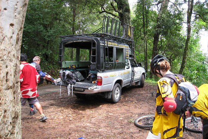No.1 Chiang Mai: Advanced Downhill Mountain Biking, Suthep N.Park - Authentic Reviews and Insights