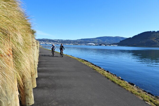 Non-Electric Bike Rental - Authentic Experiences and Tips from Reviewers
