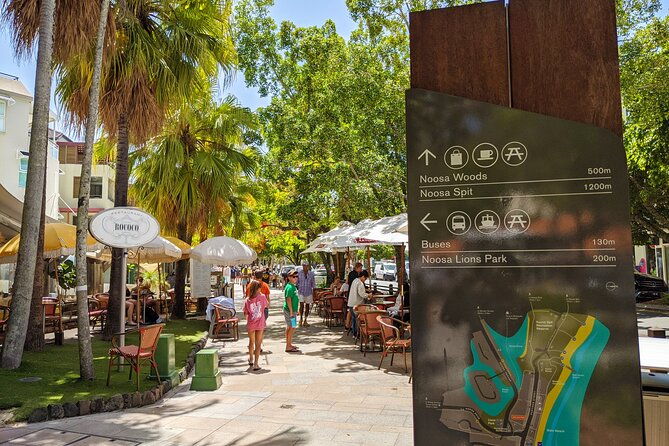 Noosa, Aussie Animals & Glass House Mountains from Brisbane - Final Thoughts