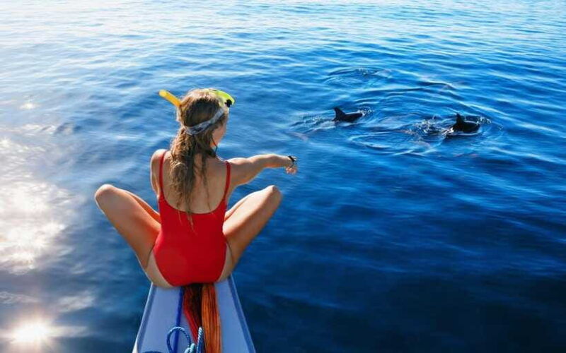 north-bali-dolphin-watching-and-snorkeling-tour