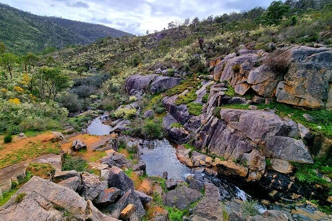 Numbat Trail Hiking Experience - Who Should Consider This Tour?