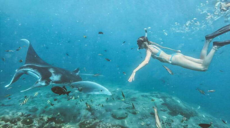nusa-penida-island-manta-point-snorkeling-west-coast-tour