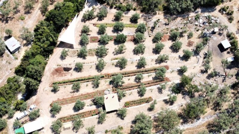 nydri-farm-to-table-private-dining-at-lefkada-micro-farm