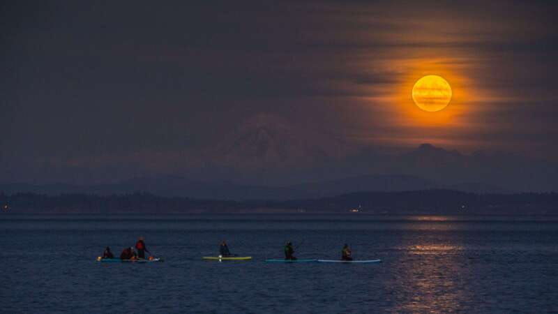 oak-bay-full-moon-paddle-experience