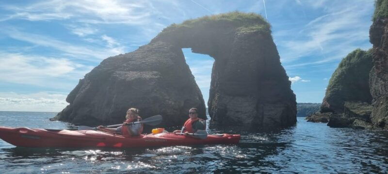oddicombe-wildlife-bushcraft-and-sea-cave-kayak-safari