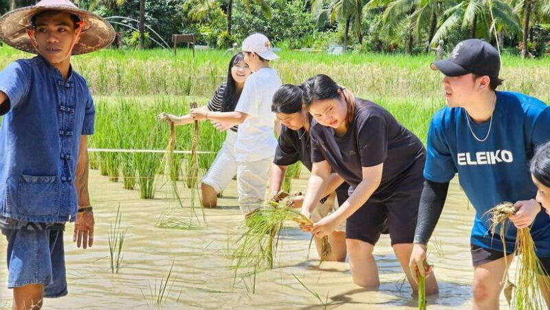 old-phuket-farm-ticket-countryside-local-life-culture